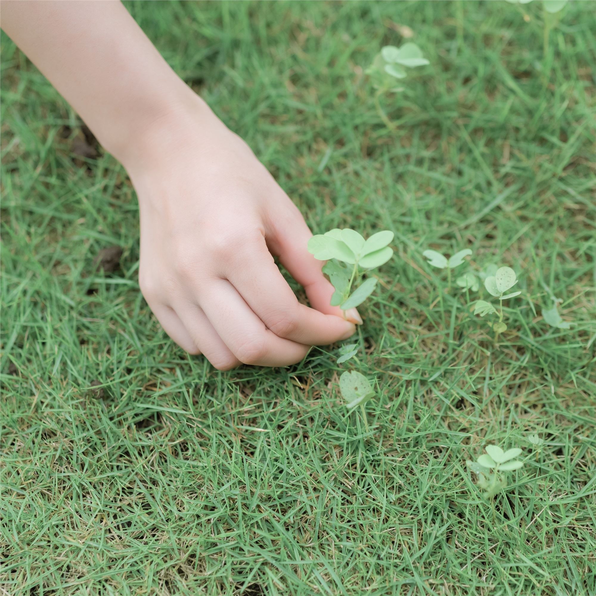 YITUYU艺图语 2021.09.01 夏日雨后 三重子